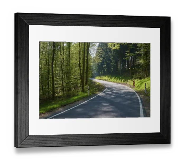 Framed Print : Road, Curvy, Beech forest, Coniferous forest