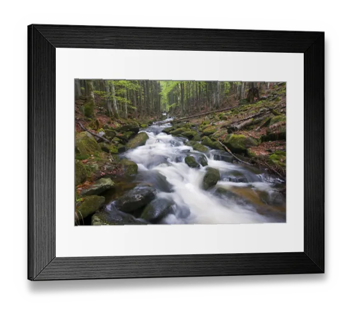 Framed Print : Kleine Ohe, Bavarian Forest National Park