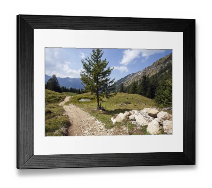 Framed Print : Jubilee trail in the mountain landscape of the Allgaeu Alps