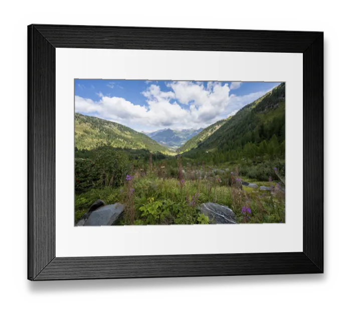 Framed Print : Mountain landscape with green meadows