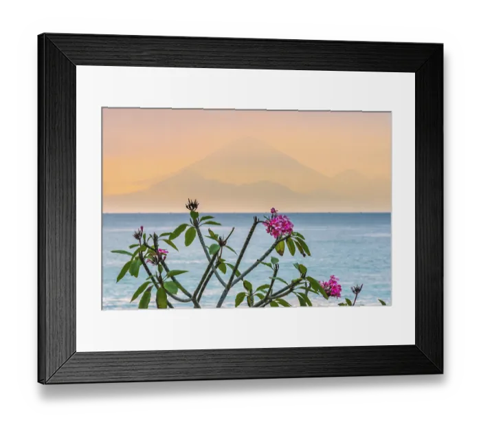 Framed Print : Frangipani (Plumeria) with view from Lombok to Bali