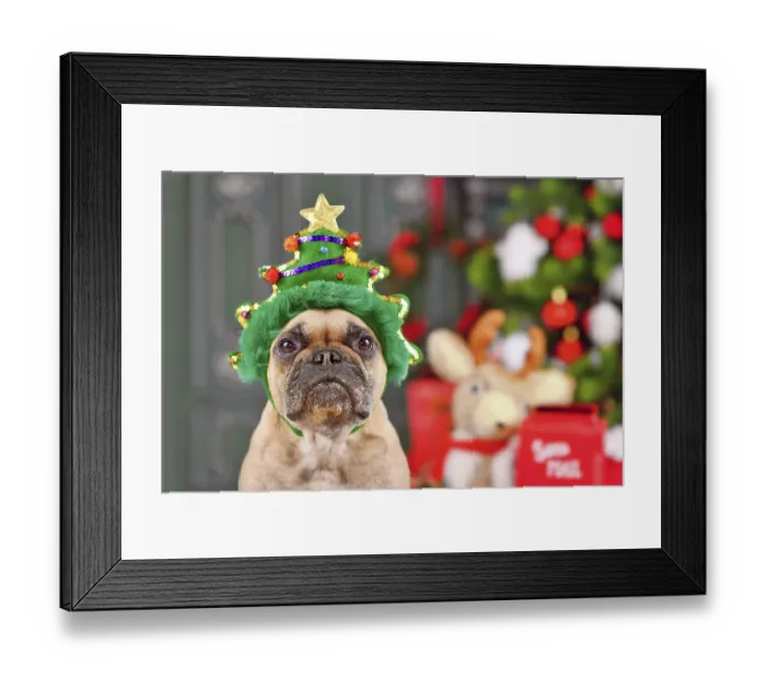 Framed Print : French Bulldog dog wearing funny Christmas tree headband