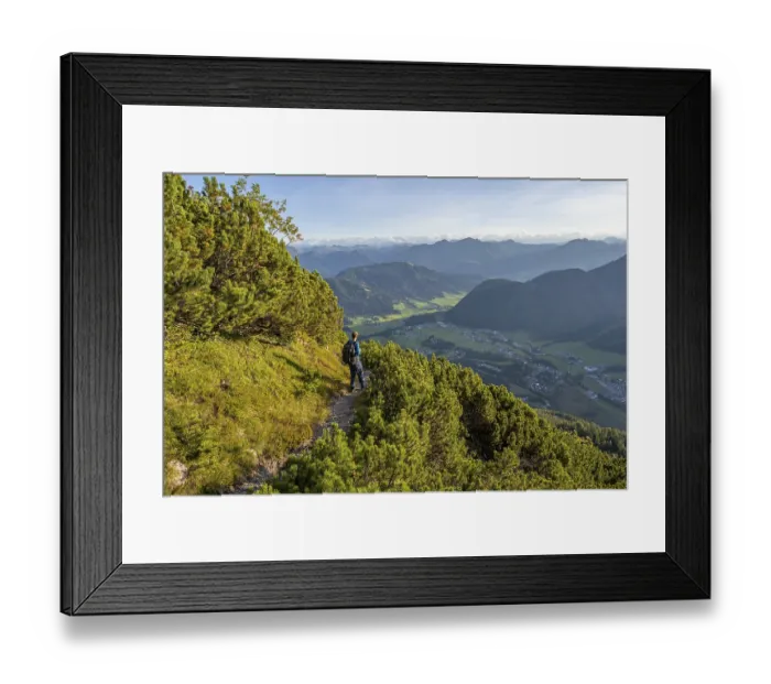 Framed Print : Hiker on hiking trail between mountain pines Framed Print : Hiker on hiking trail between mountain pines