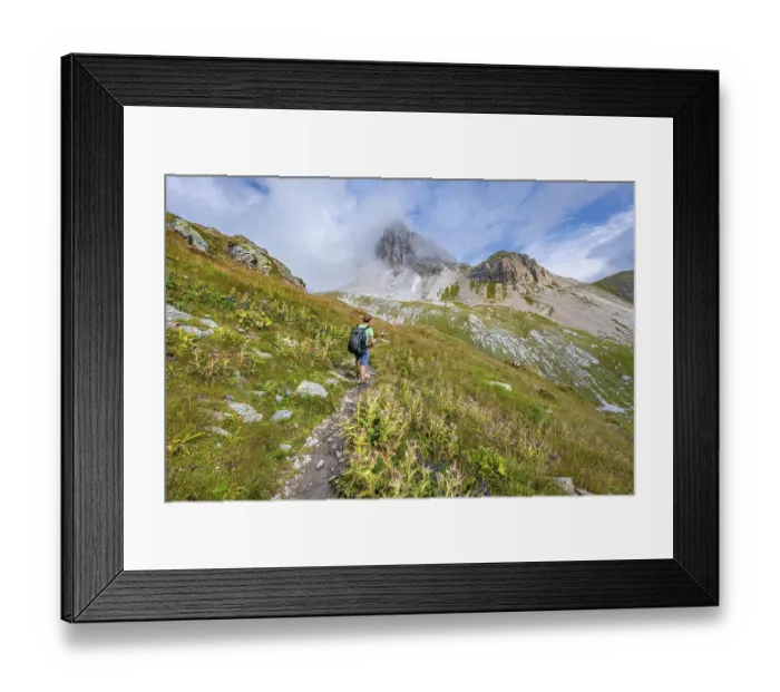 Framed Print : Mountaineer on a hiking trail between flowering thistles Framed Print : Mountaineer on a hiking trail between flowering thistles
