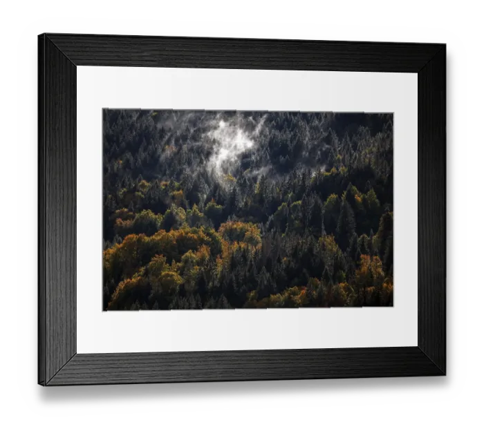 Framed Print : Morning mist in autumn forest, Oberstdorf