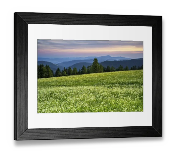 Framed Print : View from Feldberg on a landscape with flower meadow