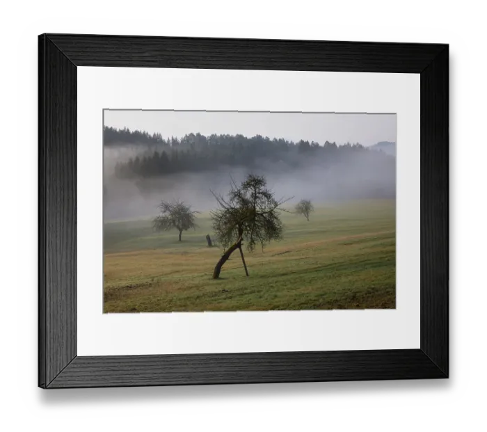 Framed Print : Landscape in the Black Forest in foggy weather with meadow