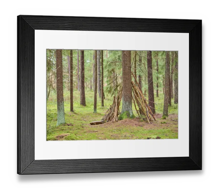 Framed Print : Wood tipi at a Tree trunk of the Norway spruce (Picea abies) in the forest