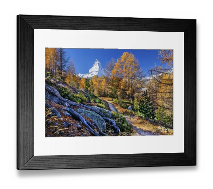 Framed Print : Hiking trail on the Riffelalp with golden yellow larches and Matterhorn 4478m in autumn