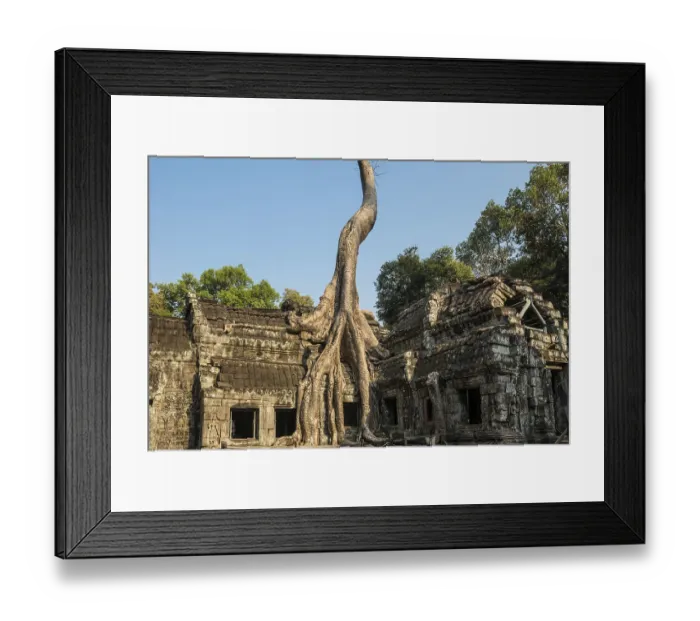 Framed Print : Ta Prohm, Angkor Wat, Angkor, UNESCO World Heritage Site Framed Print : Ta Prohm, Angkor Wat, Angkor, UNESCO World Heritage Site