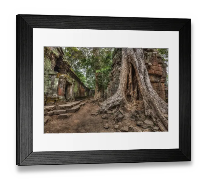 Framed Print : High dynamic range (hdr) image of ancient ruins with trees Framed Print : High dynamic range (hdr) image of ancient ruins with trees