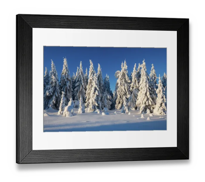 Framed Print : Snow-covered winter landscape with snow-covered spruce forest Framed Print : Snow-covered winter landscape with snow-covered spruce forest