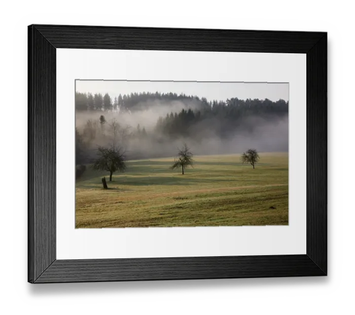 Framed Print : Landscape in the Black Forest in foggy weather with meadow