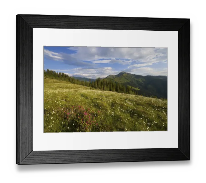 Framed Print : Naunz in spring, Naunz, Kellerjoch