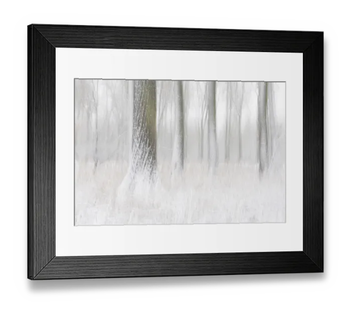 Framed Print : An artistic drawing from the wintry forest with snow-covered trees as a long exposure Framed Print : An artistic drawing from the wintry forest with snow-covered trees as a long exposure