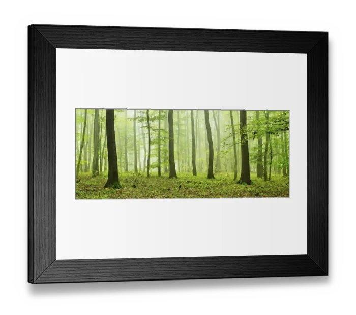 Framed Print : Panorama, near-natural mixed forest