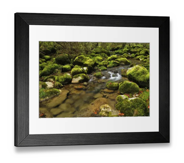 Framed Print : Moss covered rocks alongside the Orbe River