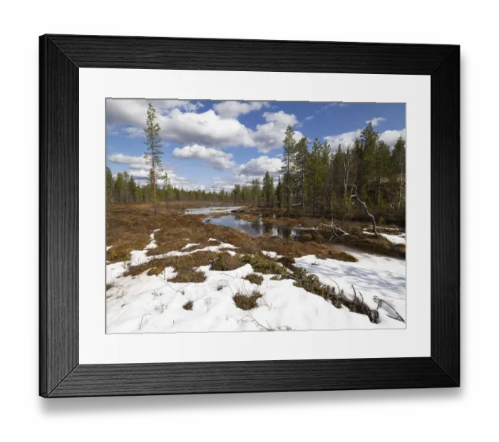 Framed Print : Bog and marshland, with pools of water and remnants of snow Framed Print : Bog and marshland, with pools of water and remnants of snow