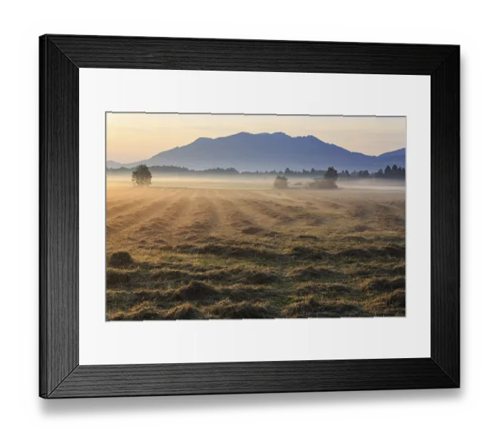 Framed Print : Morning atmosphere, fog, backlight Framed Print : Morning atmosphere, fog, backlight