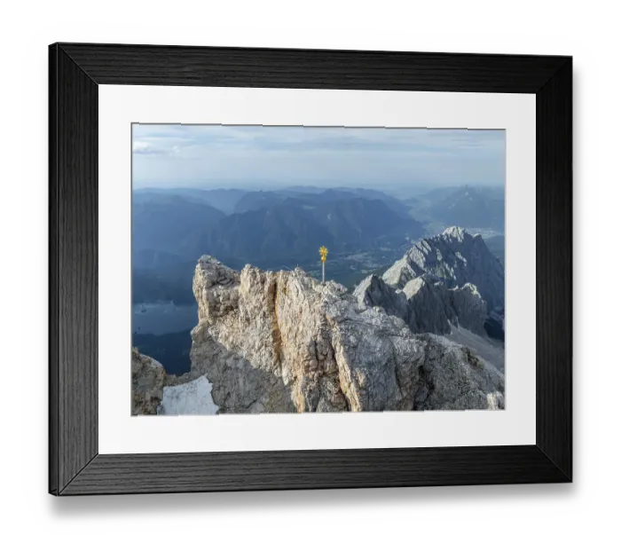 Framed Print : Summit cross, aerial view, Zugspitze