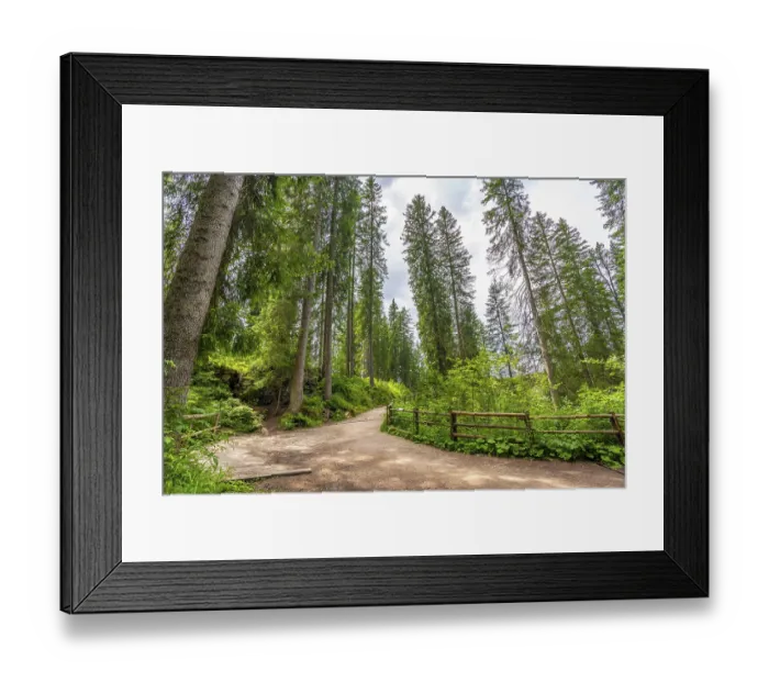 Framed Print : Scenic hiking trail leading into a dense