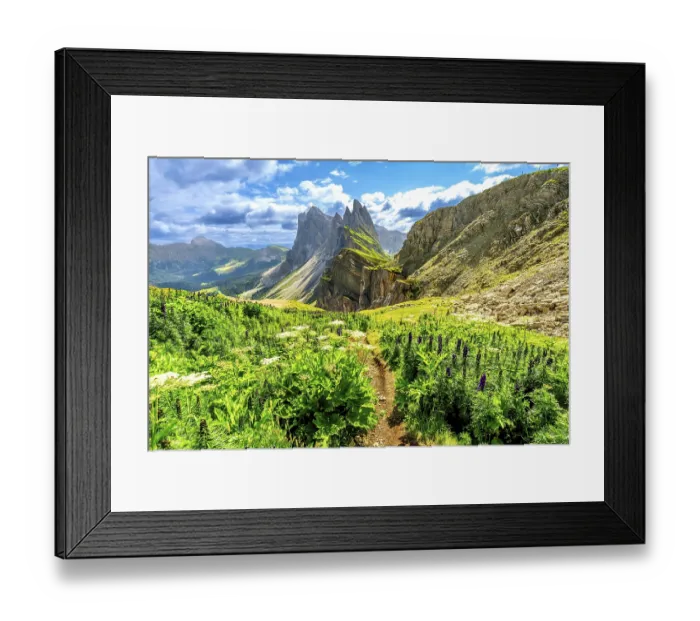 Framed Print : Scenic hiking path amidst lush wildflowers