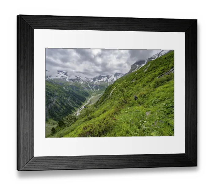Framed Print : Mountaineers between green vegetation on a hiking trail Framed Print : Mountaineers between green vegetation on a hiking trail
