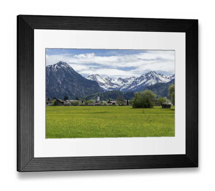 Framed Print : Common dandelion (Taraxacum), flowering dandelion field