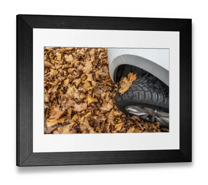 Framed Print : Driving on autumn leaves, slippery surfaces