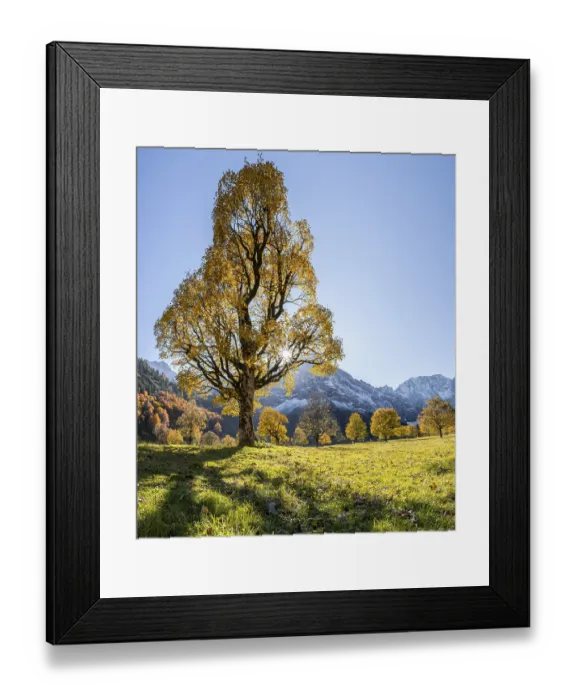 Framed Print : Sun star, Karwendel and Grosser Ahornboden in autumn Framed Print : Sun star, Karwendel and Grosser Ahornboden in autumn