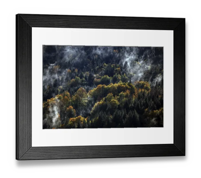 Framed Print : Morning mist in autumn forest, Oberstdorf Framed Print : Morning mist in autumn forest, Oberstdorf