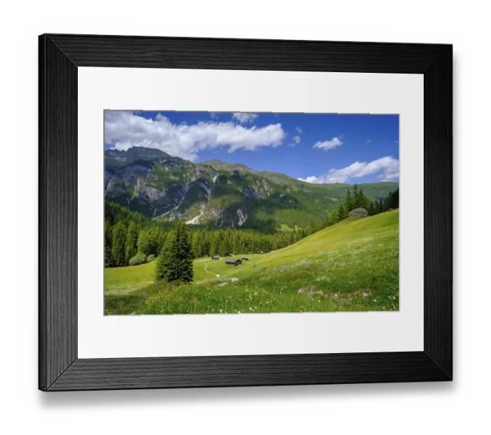 Framed Print : Alpine meadows of the Oberreinsalm