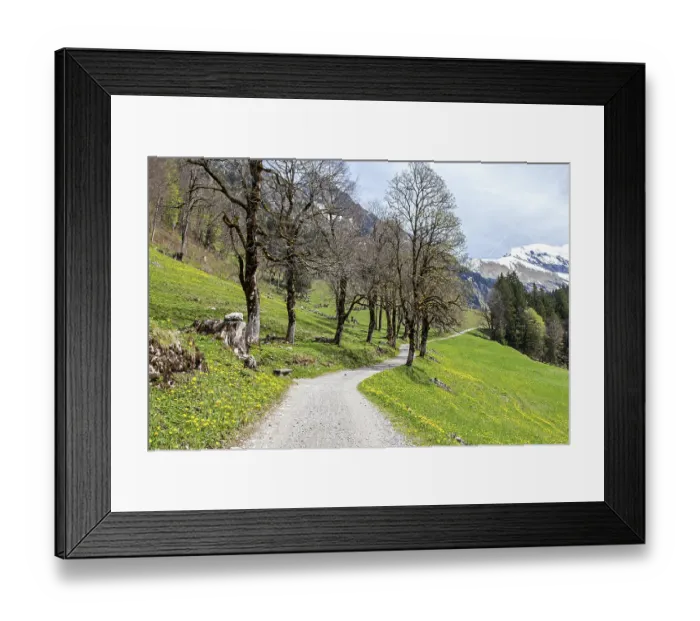 Framed Print : Path with tree-lined avenue, near the historic farming village of Gerstruben