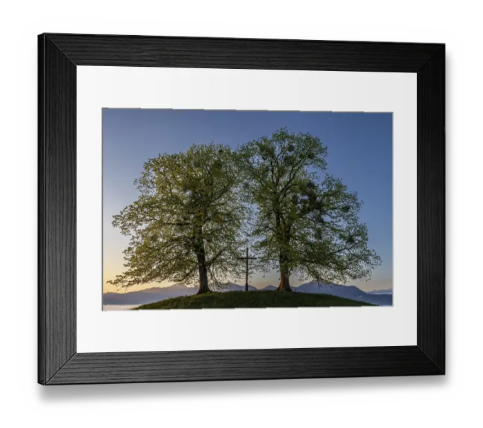 Framed Print : Two trees, chritstliches cross