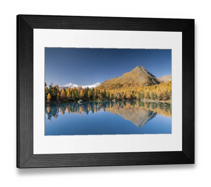 Framed Print : Autumn larch forest reflected in Lago di Saoseao