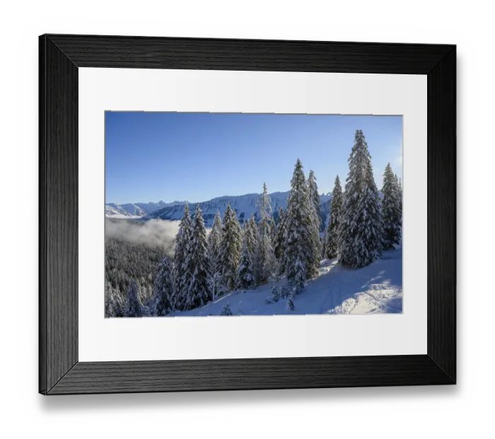 Framed Print : Winter forest with ski track and Allgaeu Alps