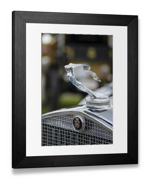 Framed Print : Hood ornament of a U.S.-American vintage Cadillac Framed Print : Hood ornament of a U.S.-American vintage Cadillac