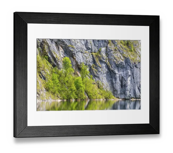Framed Print : Beeches (Fagus) in front of a rock face