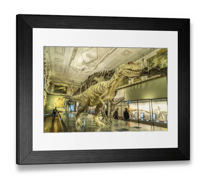 Framed Print : Tyrannosaurus rex in the dinosaur hall of the Natural History Museum Vienna