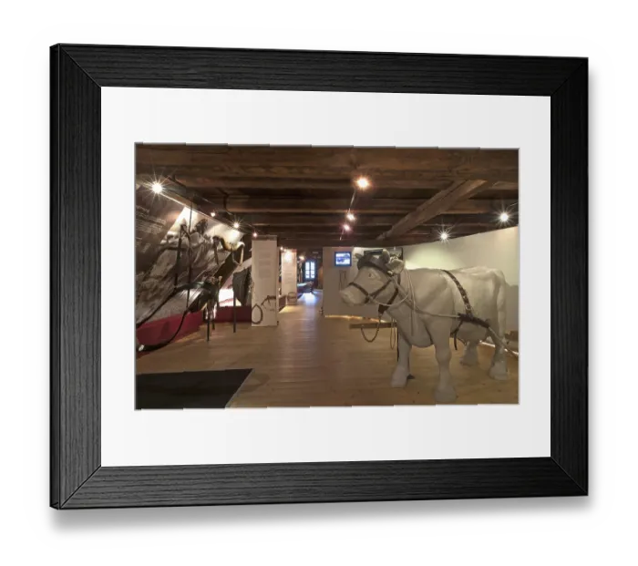 Framed Print : Permanent exhibition rooms, interactive exhibition of man and beast Framed Print : Permanent exhibition rooms, interactive exhibition of man and beast