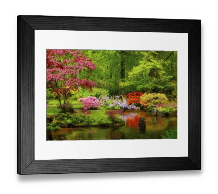Framed Print : Small bridge in Japanese garden