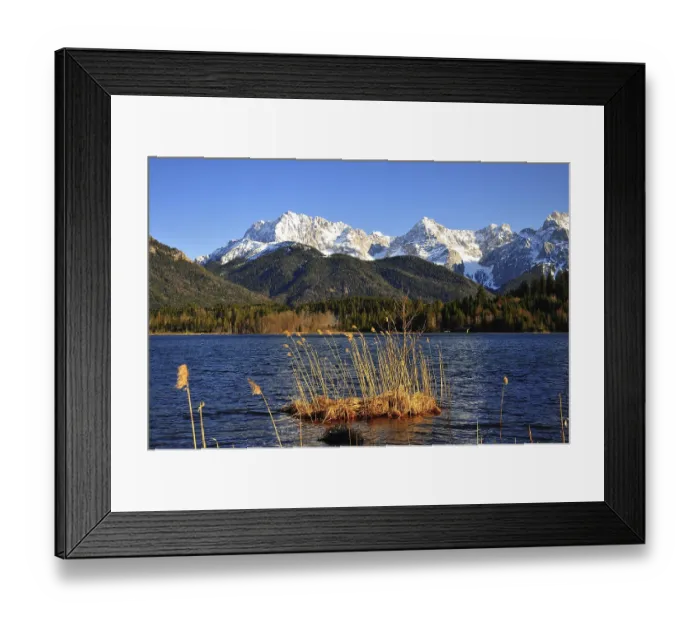 Framed Print : Reed island in the Barmsee lake in Upper Bavaria Framed Print : Reed island in the Barmsee lake in Upper Bavaria