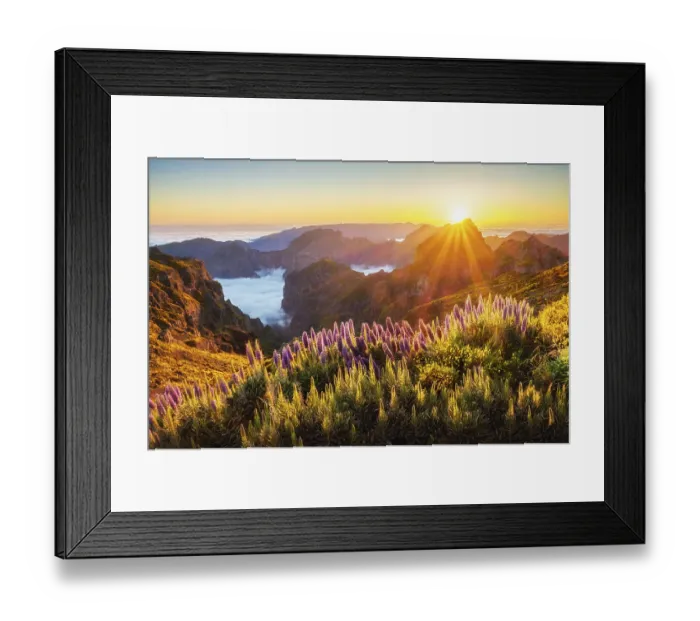 Framed Print : View from Pico do Arieiro of mountains over clouds with Pride of Madeira flowers Framed Print : View from Pico do Arieiro of mountains over clouds with Pride of Madeira flowers