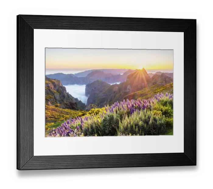 Framed Print : View from Pico do Arieiro of mountains over clouds with Pride of Madeira flowers
