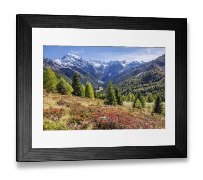 Framed Print : Panorama of the valley with Ortler 3905m and Trafoier ice wall 3565m in early autumn Framed Print : Panorama of the valley with Ortler 3905m and Trafoier ice wall 3565m in early autumn