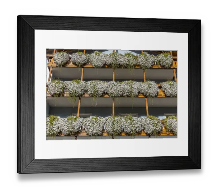 Framed Print : Balconies decorated with flowers in the centre of Ortisei Framed Print : Balconies decorated with flowers in the centre of Ortisei