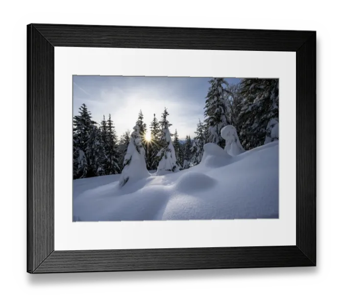 Framed Print : Snow-covered trees in a forest in winter Framed Print : Snow-covered trees in a forest in winter