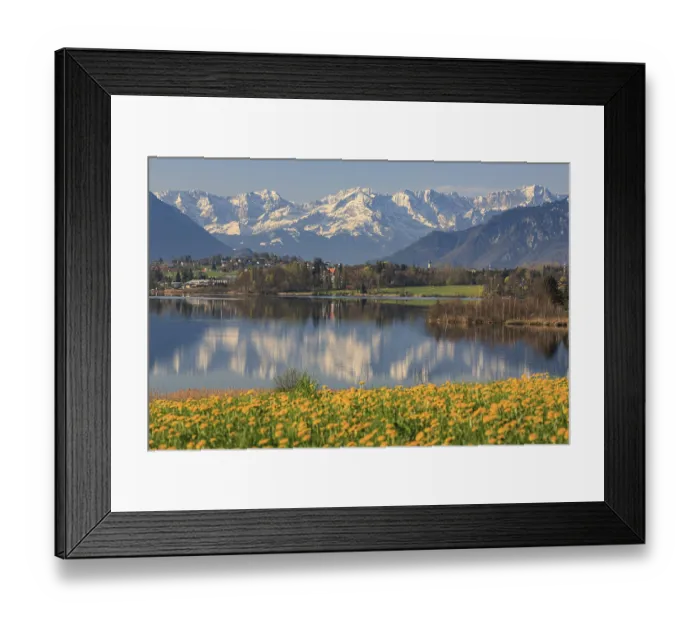 Framed Print : Mountains reflected in lake, dandelion flower meadow