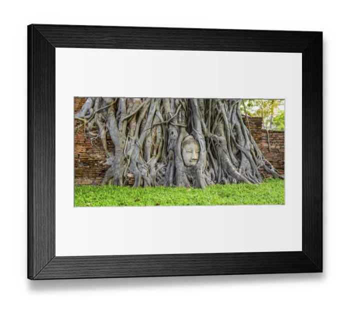 Framed Print : Sandstone head of a Buddha statue