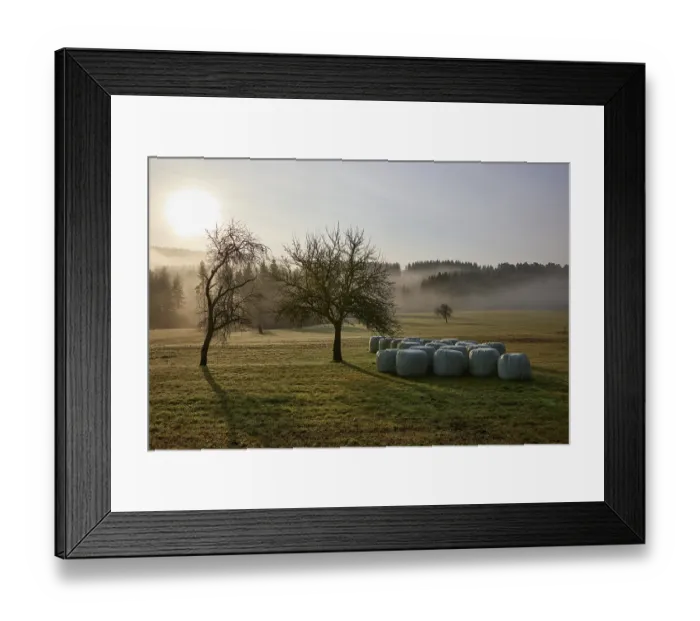 Framed Print : Landscape in the Black Forest in foggy backlight with meadow